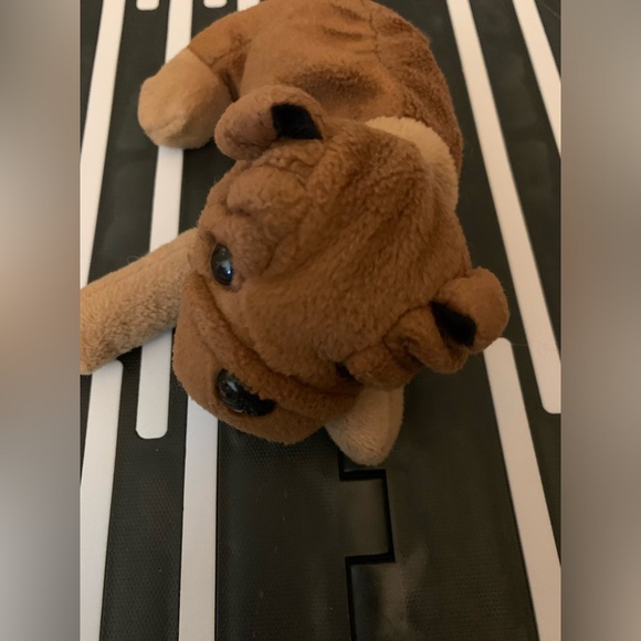 Beanie pup - Picture 3 of 5